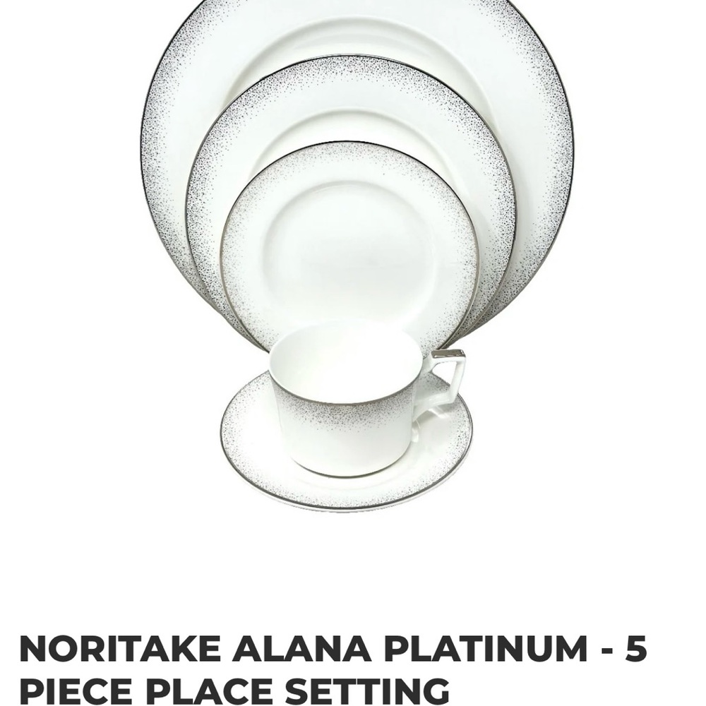 Crate and Barrel Noritake Alana Platinum 5-Piece Place Setting